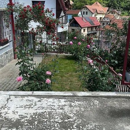 Flh - Black Church * Braşov