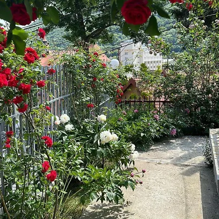 Flh - Black Church Braşov