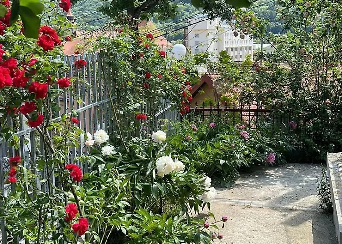 Flh - Black Church Brassó